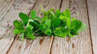 garnishing-instructions-image